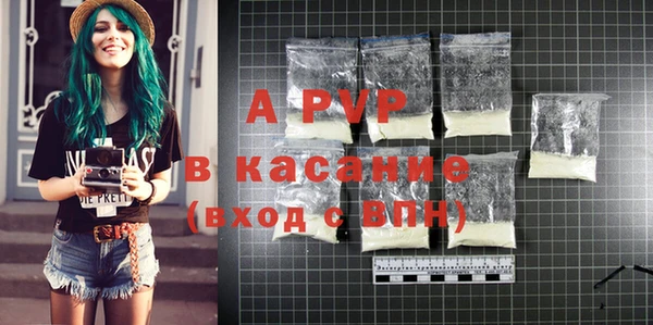 сатива Балахна