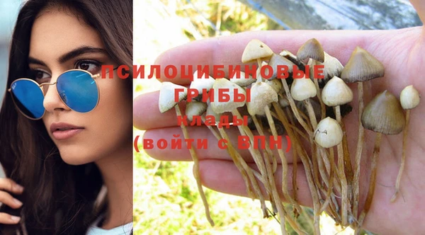 спиды Баксан