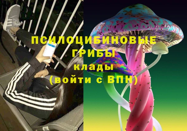 сатива Балахна