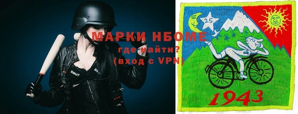 сатива Балахна